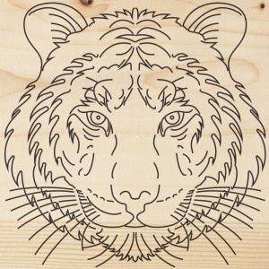 Доска для выжигания «Тигр», 150х150мм, 1 шт., пакет REXANT
