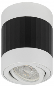 Светильник настенно-потолочный спот ЭРА OL34 WH/BK MR16 GU10, черный, белый