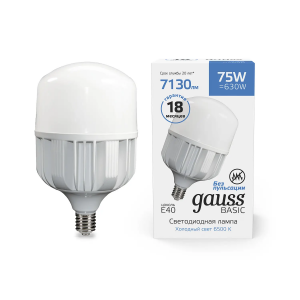 Gauss Лампа Basic T140 AC180-240V 75W 7130lm 6500K E40 LED 1/12
