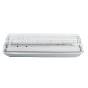 FERON Светильник аварийный, 20 LED AC/DC, белый, EM101 от оптового интернет-магазина Макел25.