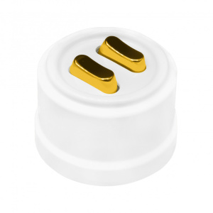 BIRONI Кнопка (двухклавишная), пластик, цвет Белый, Золото