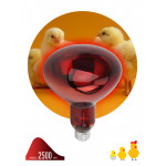 Инфракрасная лампа ЭРА ИКЗК 230-150 R127 кратность 1 шт Е27 / E27 для обогрева животных и освещения 150 Вт