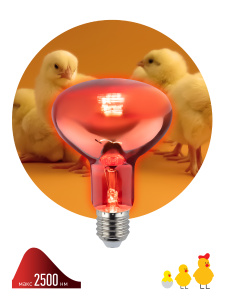 ЭРА Инфракрасная лампа ИКЗК 230-100 R95 E27 E27 для обогрева животных и освещения 100 Вт